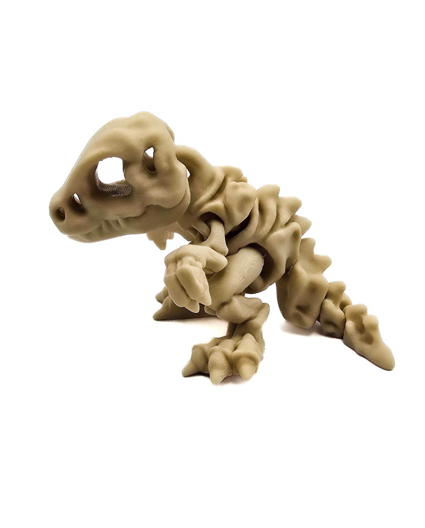 T-Rex Skelet