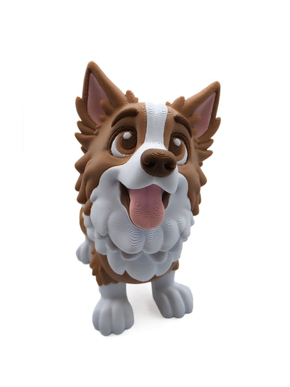 Bordecollie 1
