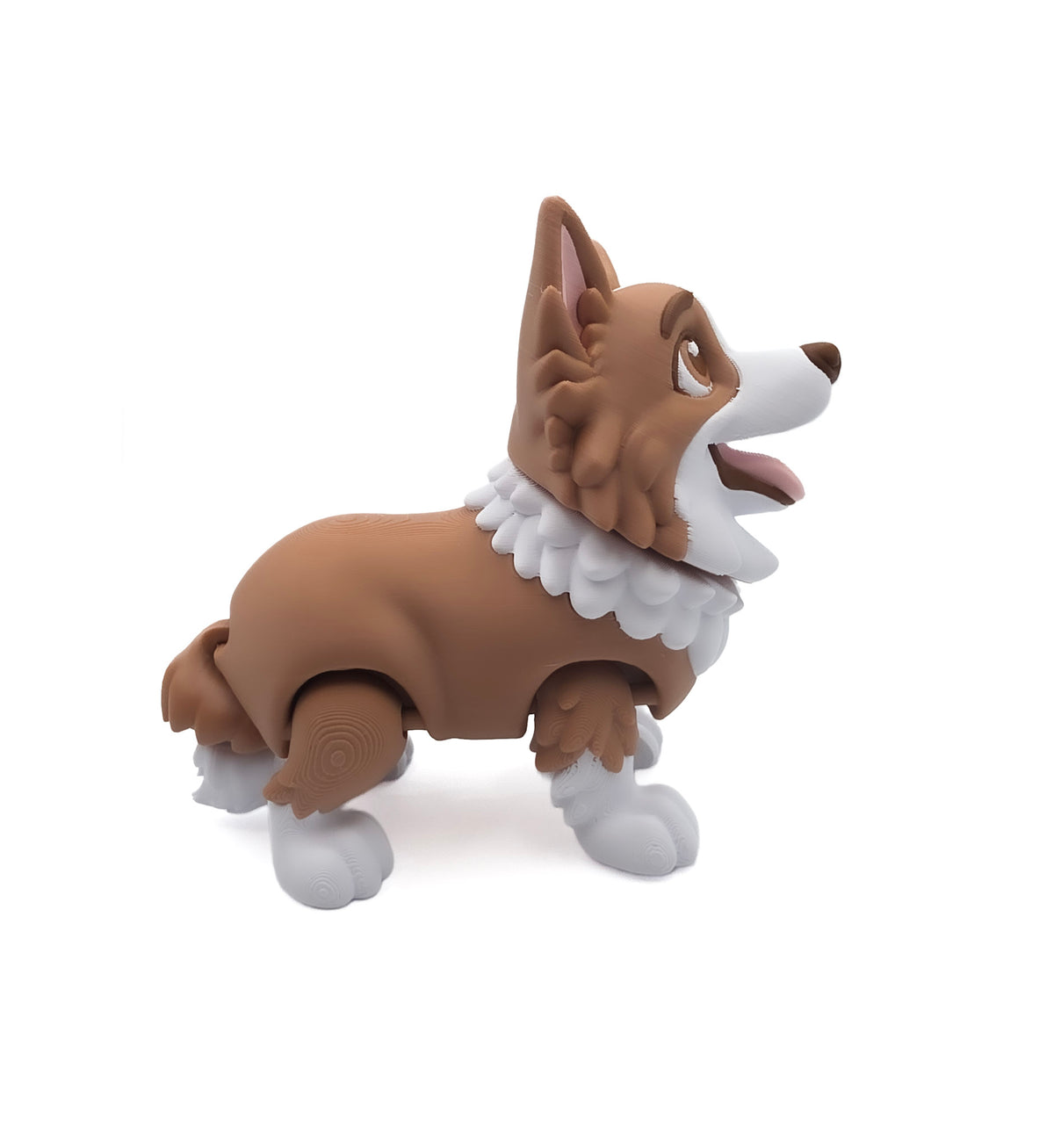 Bordecollie 1
