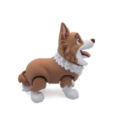 Bordecollie 1