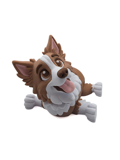 Bordecollie 1