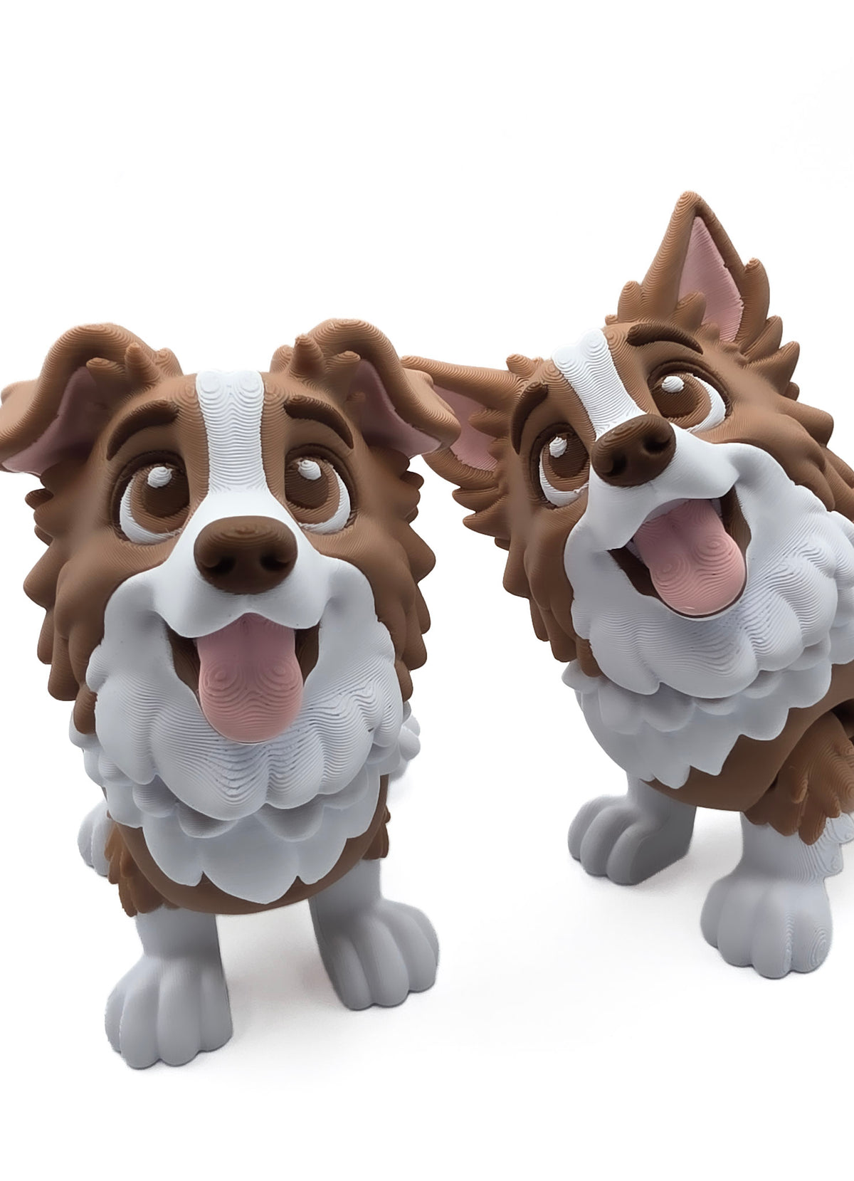 Bordecollie SET