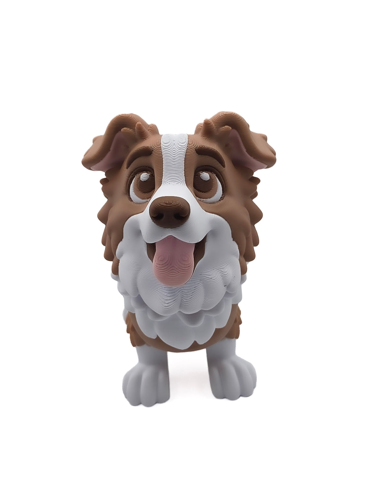 Bordecollie 2