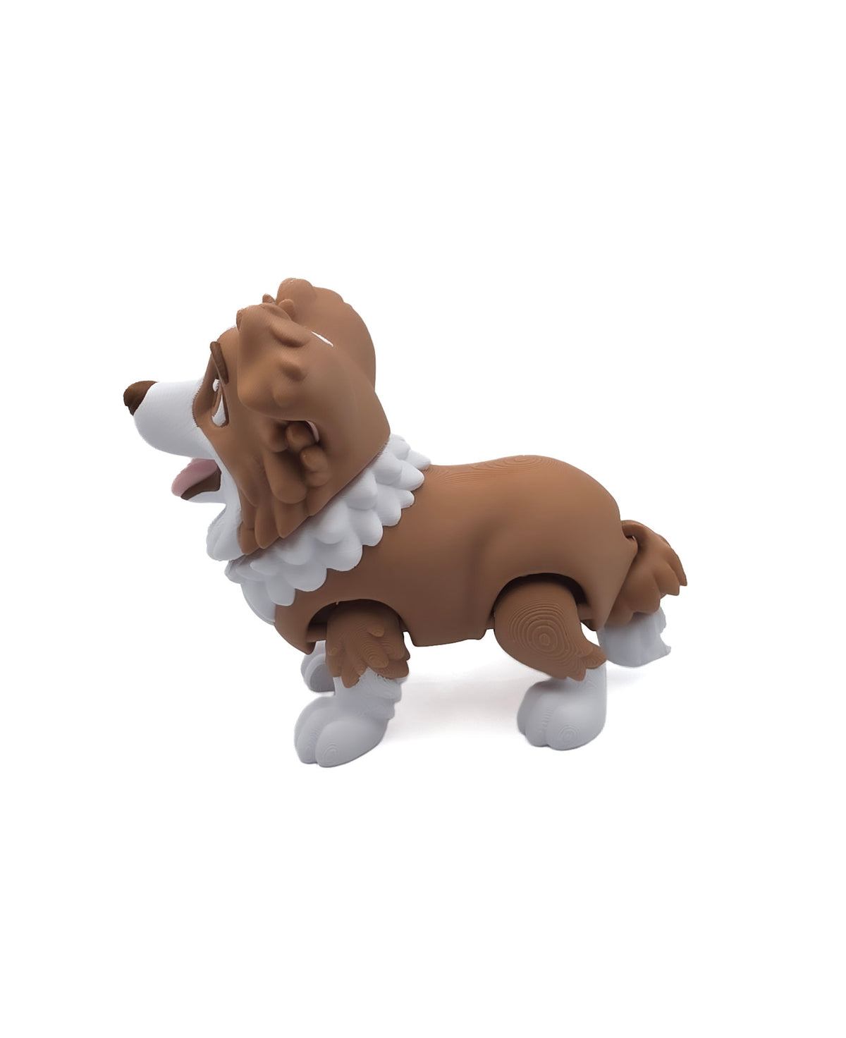 Bordecollie 2