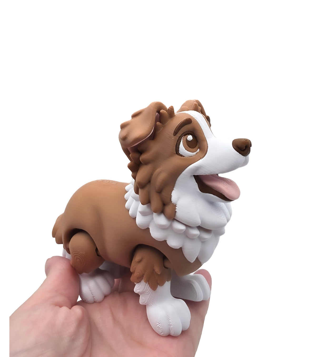 Bordecollie 2
