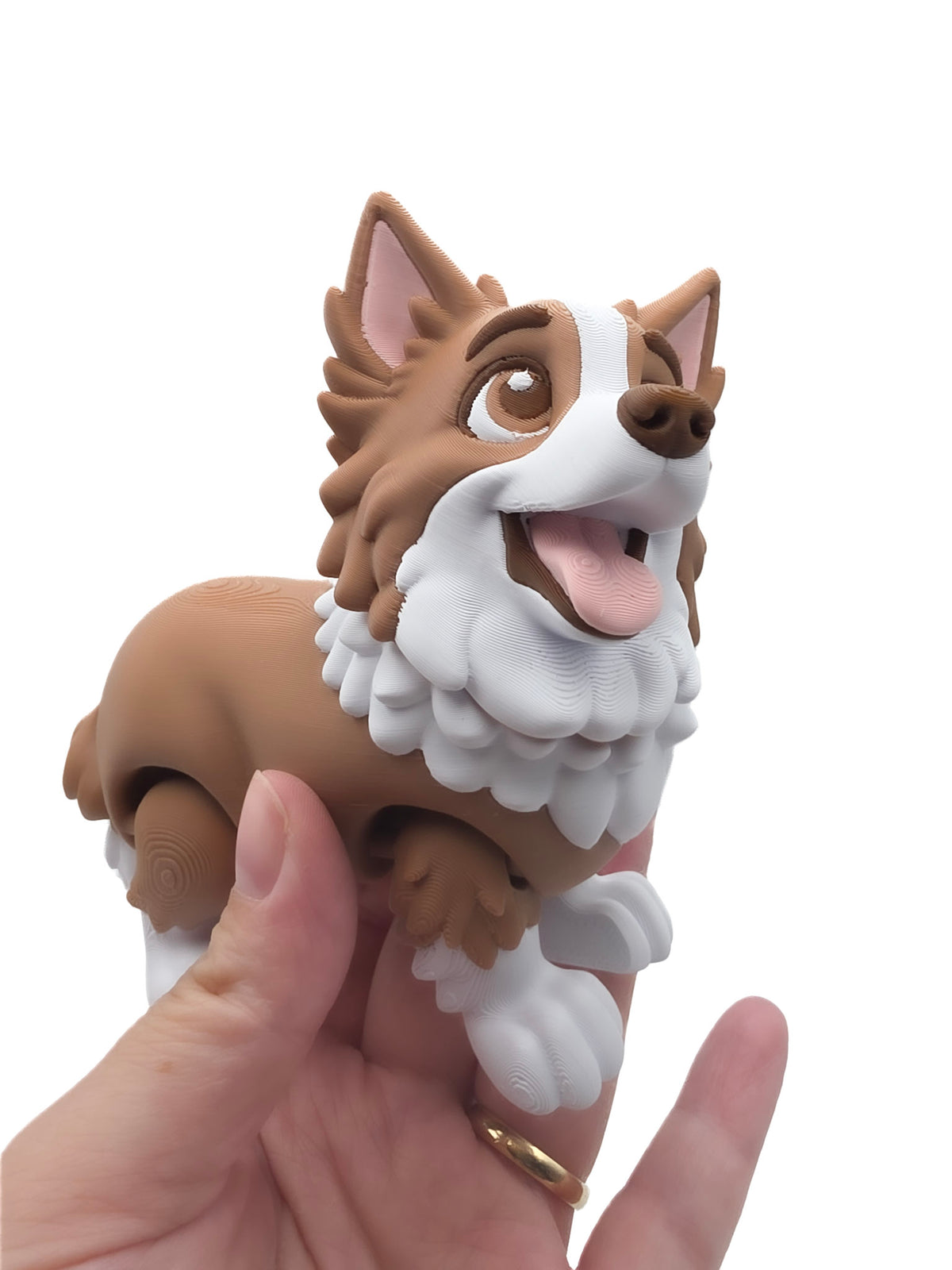 Bordecollie 1