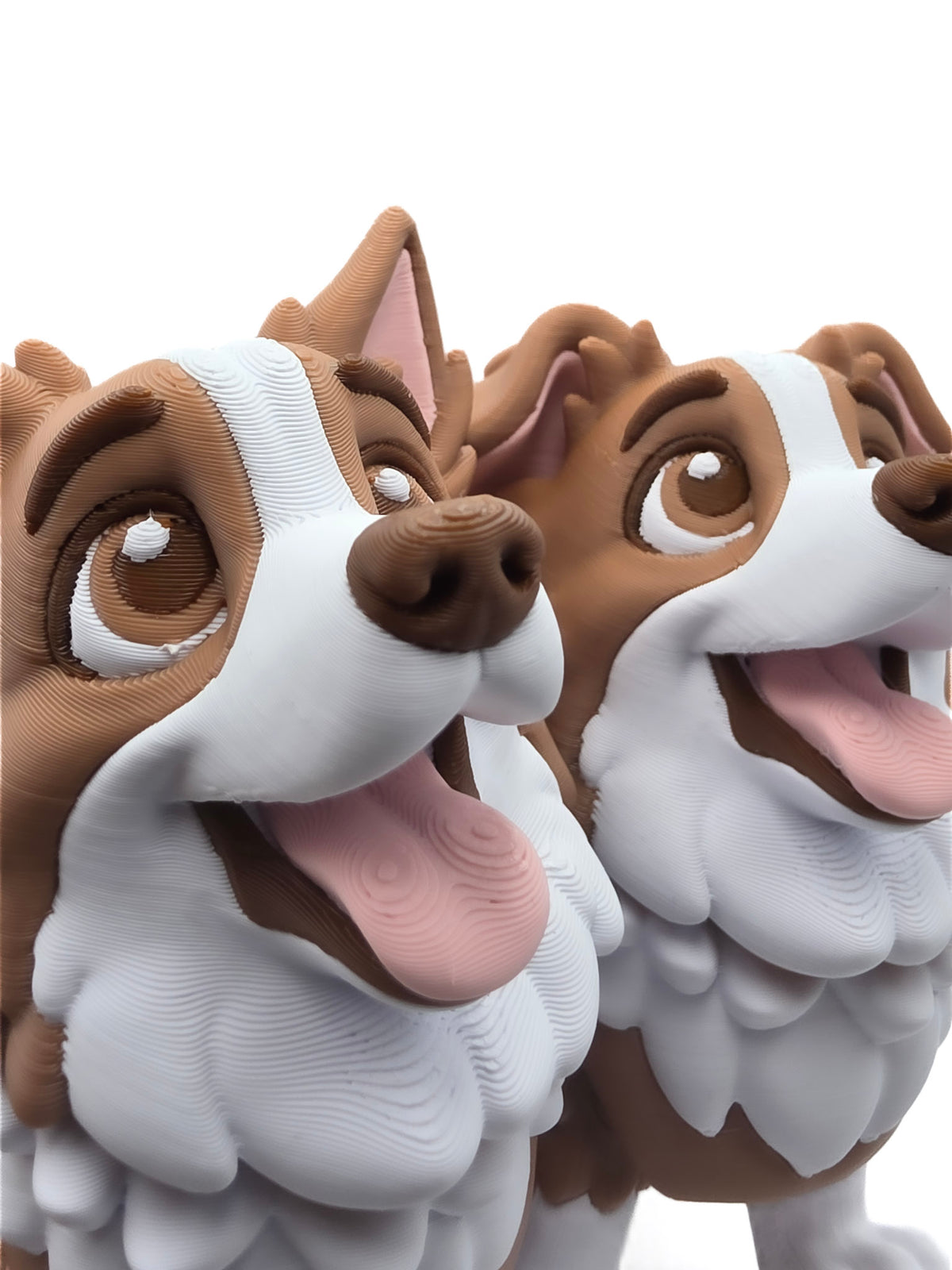 Bordecollie SET