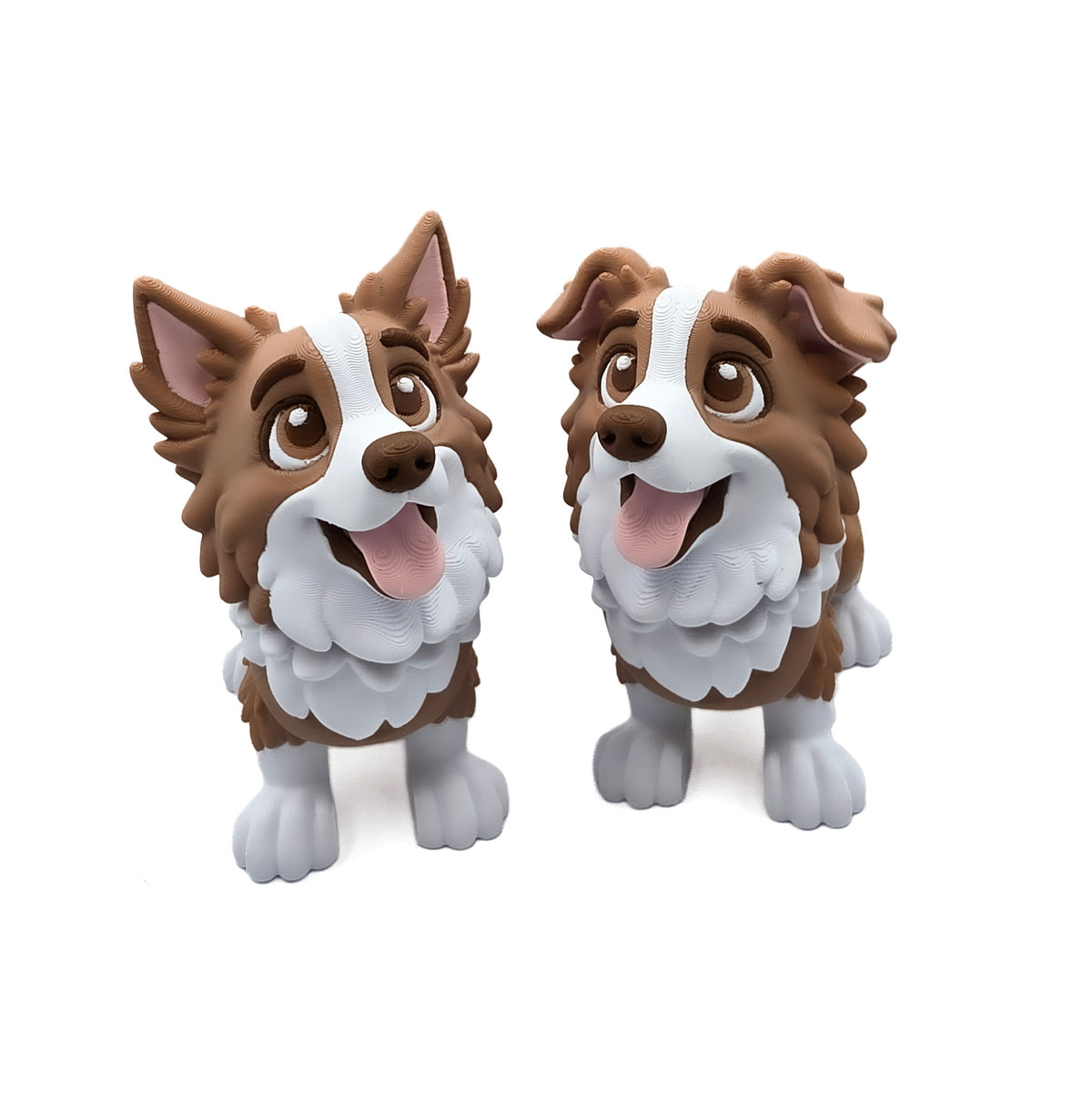 Bordecollie SET