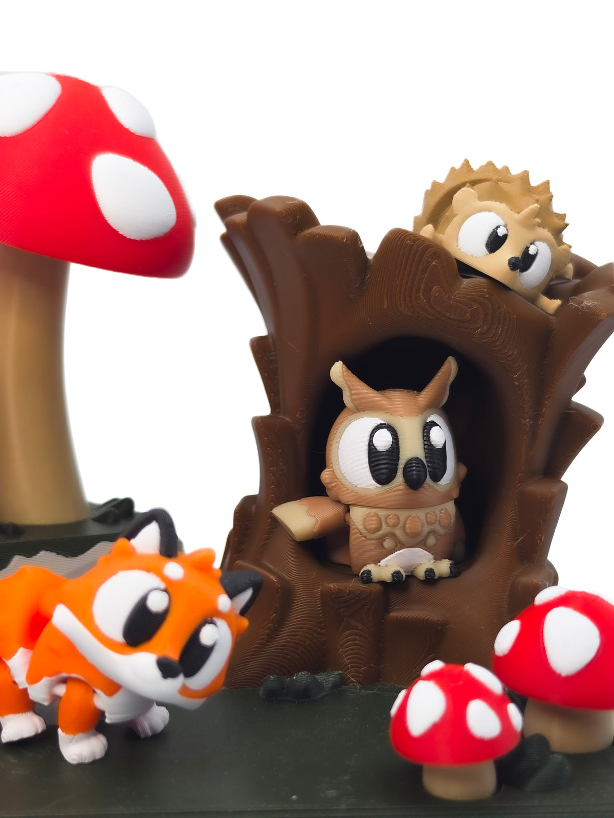 Paddenstoelen Wereld